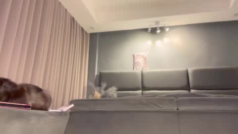 jacolandia online show from February 23, 6:56 pm