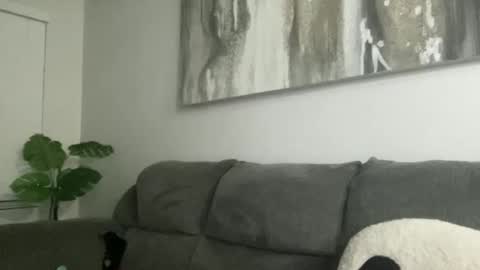 Jadexbabe online show from November 7, 2:14 am