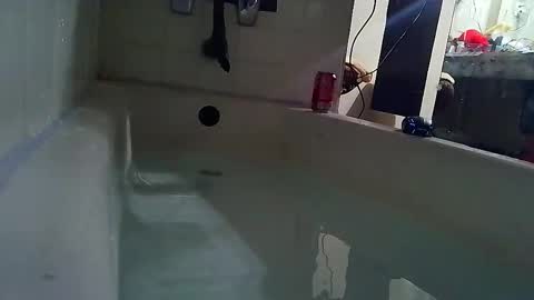 Bootyshows online show from February 27, 7:45 am