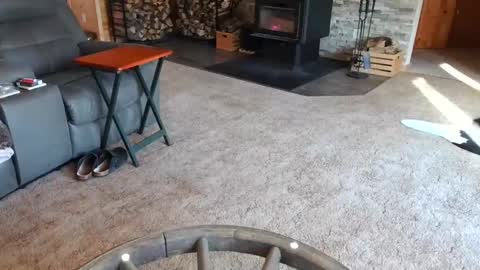 janeen- online show from February 10, 4:47 pm