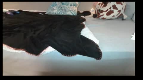 jasminandzhao online show from July 7, 7:23 am