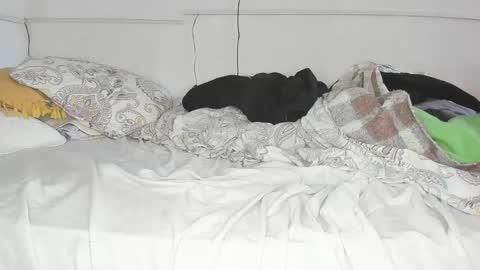 Javier  online show from May 18, 3:51 pm