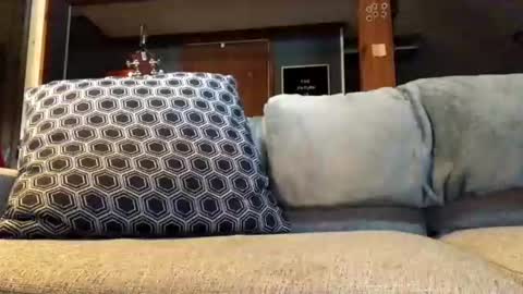 Jaws  online show from June 21, 8:59 pm