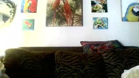 Snapshot of jay_jay1475 chatting on February 26, 3:10 pm jay-jay1475 online show from February 26, 3:10 pm