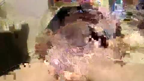 jaybird8 online show from March 6, 5:22 pm