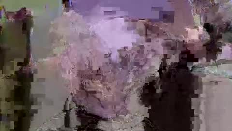 jaybird8 online show from November 9, 4:43 pm