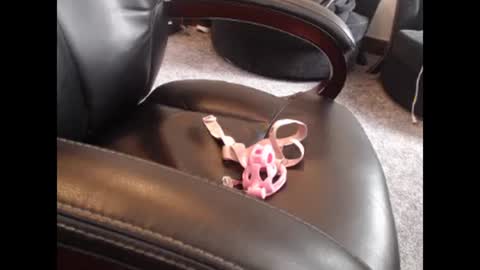 sissy gurl online show from October 13, 10:23 pm