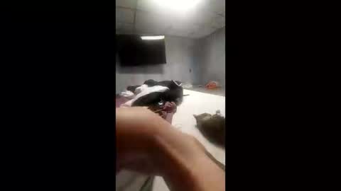 jaycoin online show from November 26, 5:21 pm