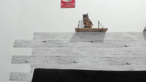 Jaycreedd online show from January 14, 3:14 am