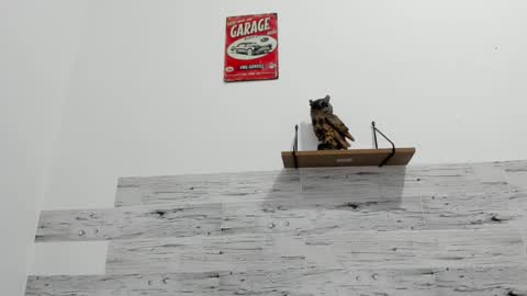 Jaycreedd online show from November 25, 2:10 am