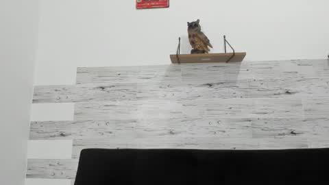 Jaycreedd online show from December 5, 4:12 am