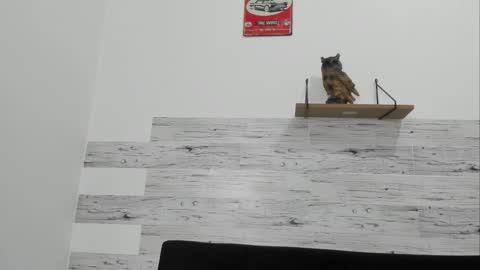 Jaycreedd online show from November 20, 1:15 am