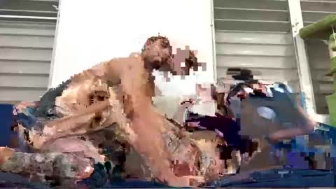 Jay Grande online show from January 17, 3:38 am