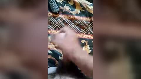 jaymele online show from July 12, 4:32 pm