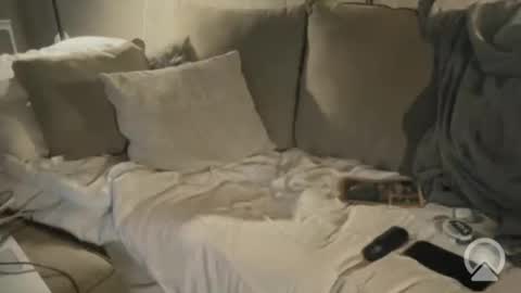 jbhammer1414 online show from February 7, 4:26 am