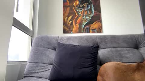 jdsj1a873165 online show from February 22, 7:38 pm