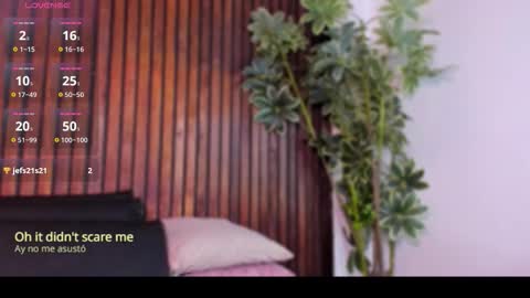     online show from November 19, 12:37 pm