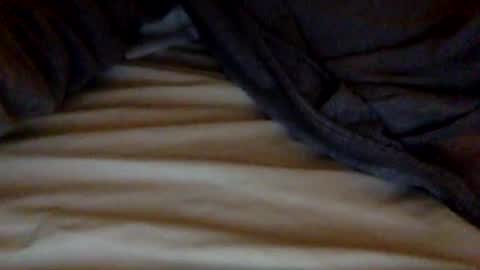 jerking_off_1 online show from January 7, 6:16 am