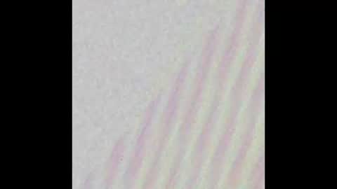 JJQUIN online show from November 17, 10:56 pm