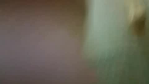 joalgom online show from October 13, 8:16 am