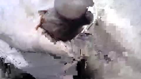 johnnyrose10 online show from January 7, 4:16 pm