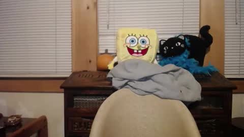 Johston online show from November 25, 2:43 am