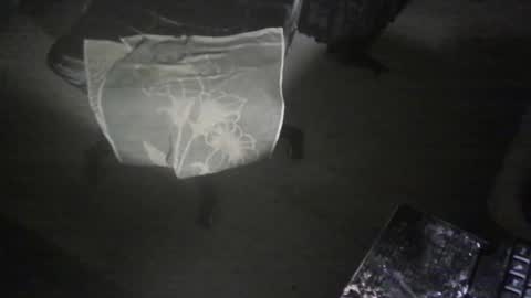 Joseph Wieland Richter online show from March 11, 3:09 am