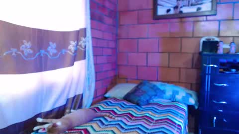 joseph online show from February 26, 8:04 pm