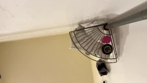 Snapshot of josephung1 chatting on February 15, 6:23 am sissy josphine online show from February 15, 6:23 am