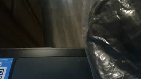 Snapshot of josephung1 chatting on January 8, 11:09 pm sissy josphine online show from January 8, 11:09 pm