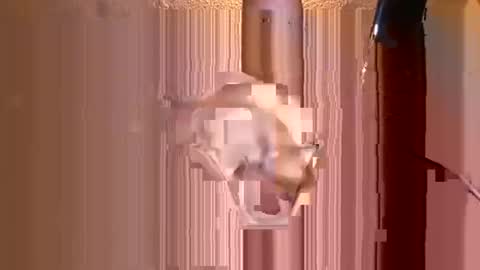 juan575390 online show from January 30, 1:00 am