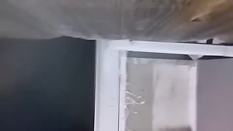 Carlos online show from December 9, 2:34 am