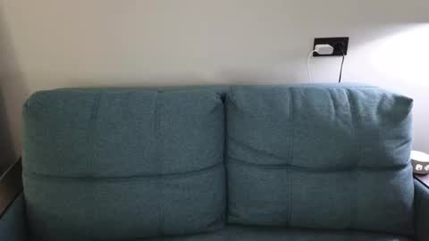 Julia online show from October 12, 2:20 pm