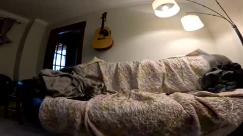 justanimals online show from December 6, 4:44 pm