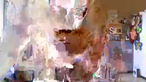 juteja online show from October 15, 8:48 am