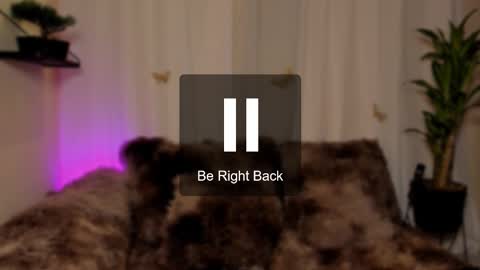 Kaaiiri online show from November 7, 11:01 am