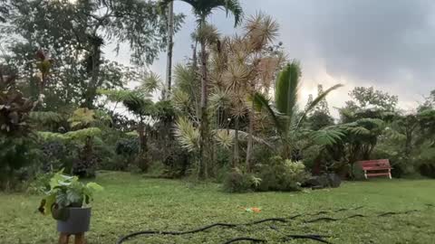 Kailee Smile online show from February 28, 4:16 am