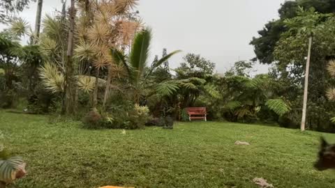 Kailee Smile online show from March 5, 4:32 am