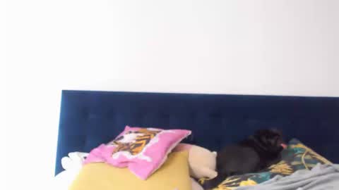Snapshot of kajasexydoll4u chatting on September 19, 8:07 am Kajasexydoll4u online show from September 19, 8:07 am