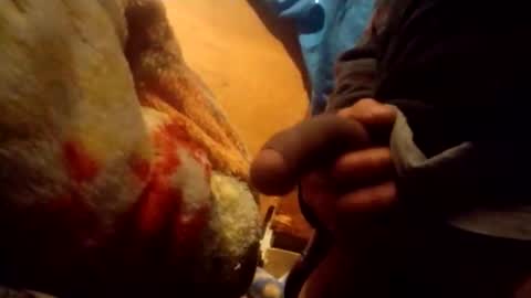 kakaroto30102 online show from December 4, 3:22 pm