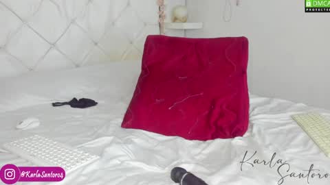 Karla Santoro online show from April 12, 7:45 am