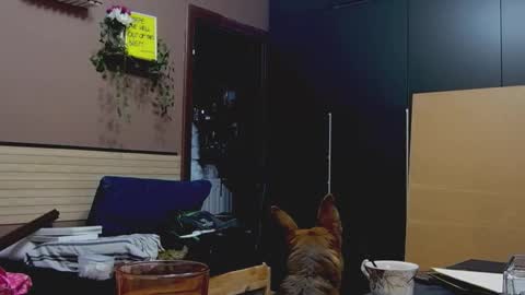 karoline121 online show from January 5, 5:27 pm