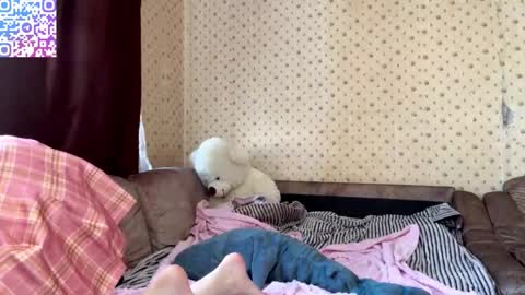 Elizabeth online show from February 11, 11:36 am