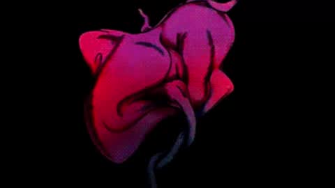 katsuro online show from November 21, 10:30 pm