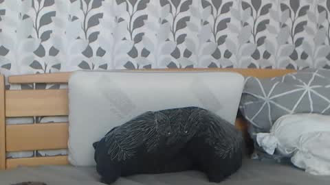 kelywild20 online show from July 25, 7:06 am
