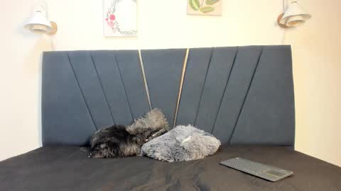 kendall_x0 online show from February 15, 12:15 pm