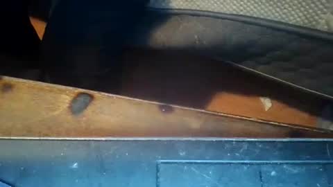 KENDREKO online show from March 8, 1:50 am