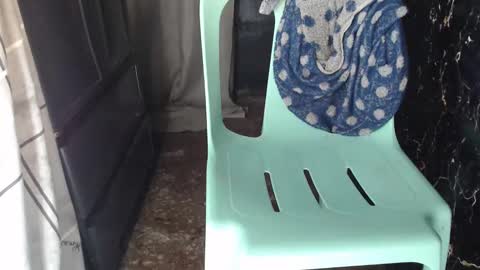 Khail online show from December 5, 1:22 pm