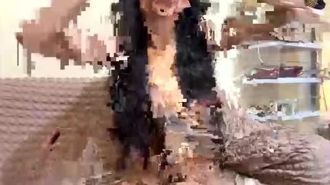 khalifa online show from November 3, 4:41 pm