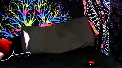 Jerry online show from February 6, 5:11 am